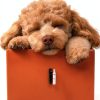 Oneisall Dog Grooming Clippers Rechargeable Kit for Small-3