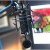 Blue Spark SL Condenser Microphone-1