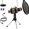 ZealSound Gold Condenser Mic Portable Metal-0