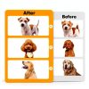 Erinnyees Dog Vacuum Grooming Kit 15000Pa Pet Hair Remover-3