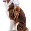 Oneisall Dog Grooming Kit Vacuum Clippers Dryer Pet Supplies-4
