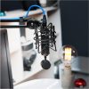 Blue Spark SL Condenser Microphone-3