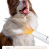 Oneisall Dog Grooming Kit Vacuum Clippers Dryer Pet Supplies-2