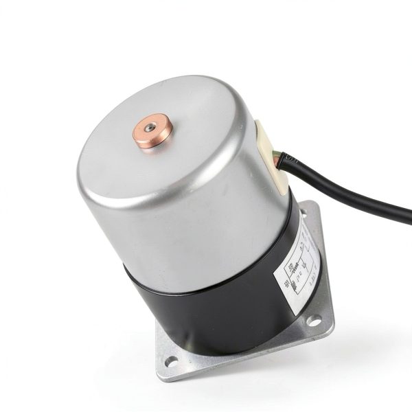 Protalwell Pellet Stove Motor Replacement Parts 2 RPM-2