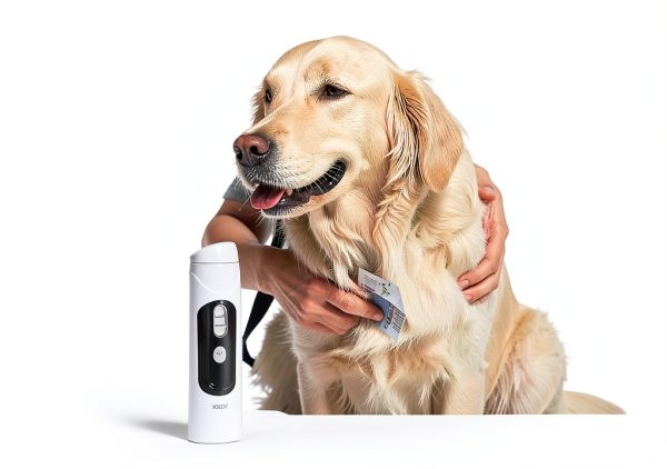 FOTING Dog Grooming Vacuum Dryer 6 in 1 Kit Low Noise-3