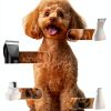 Oneisall Dog Grooming Clippers Rechargeable Kit for Small-1