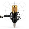 CofeLife BM-800 Condenser Microphone Gold Stand-1