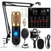 CofeLife BM-800 Condenser Microphone Gold Stand-0